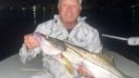 snook fishing